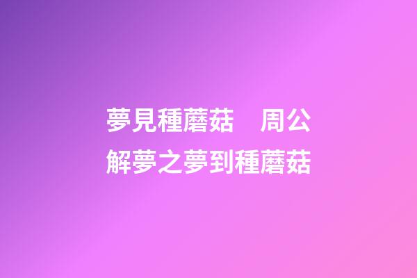 夢見種蘑菇　周公解夢之夢到種蘑菇